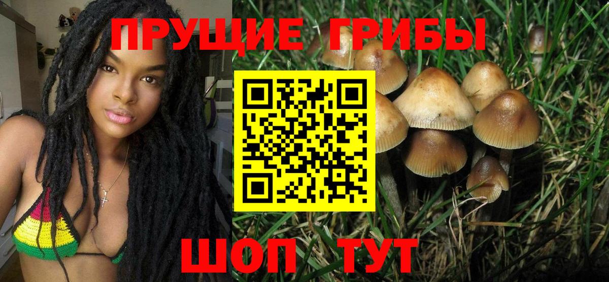 Калач-на-Дону  Псилоцибиновые грибы MAGIC MUSHROOMS  Вход с VPN  Галлюциногенные грибы MAGIC MUSHROOMS 