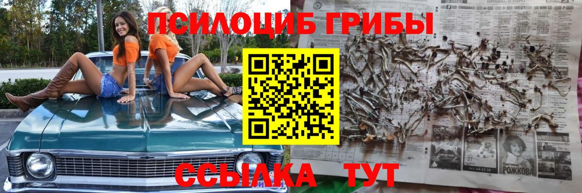 Псилоцибиновые грибы Psilocybine cubensis Калач-на-Дону